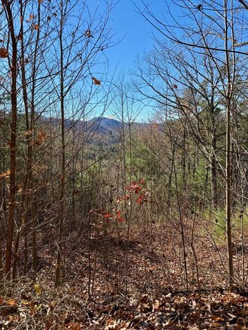Lot 14 View Ridge Trail, Murphy, NC 28906