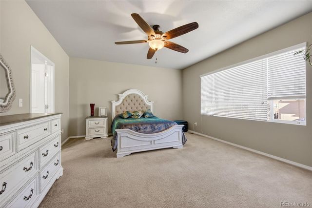 8726 Meadow Wing Circle, Colorado Springs, CO 80927