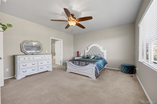 8726 Meadow Wing Circle, Colorado Springs, CO 80927