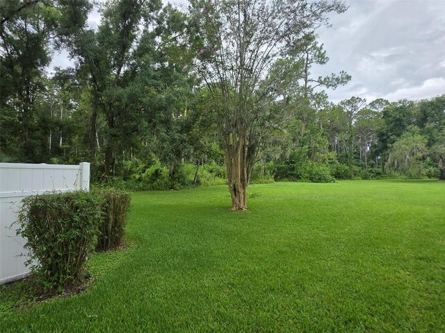 1781 SAMURAI POINT P9, Lutz, FL 33558