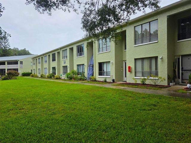 1781 SAMURAI POINT P9, Lutz, FL 33558