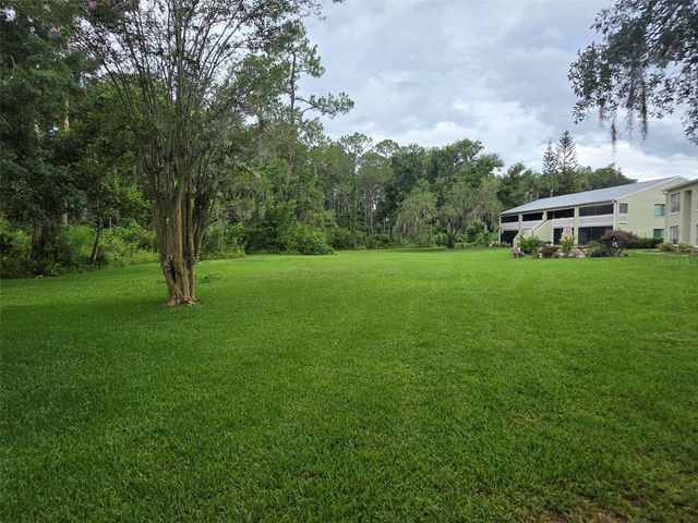 1781 SAMURAI POINT P9, Lutz, FL 33558