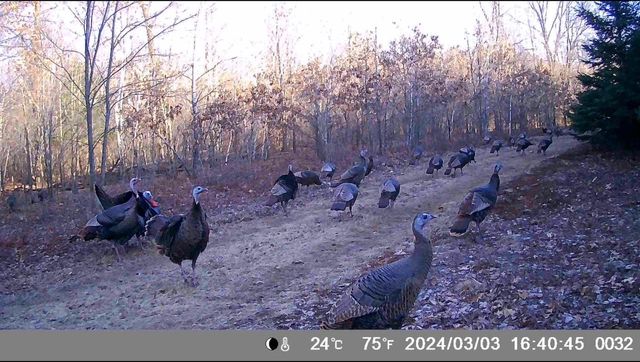 N4076 & N4084 10th Drive, Montello, WI 53949