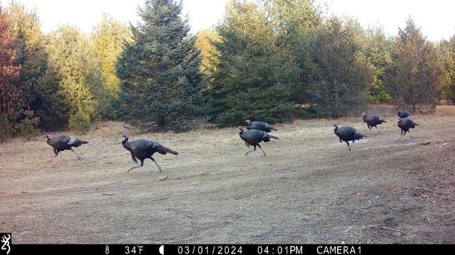 N4076 & N4084 10th Drive, Montello, WI 53949