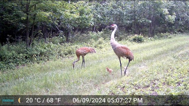 N4076 & N4084 10th Drive, Montello, WI 53949