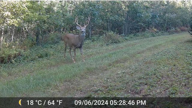 N4076 & N4084 10th Drive, Montello, WI 53949