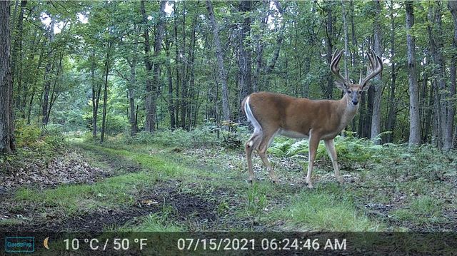 N4076 & N4084 10th Drive, Montello, WI 53949