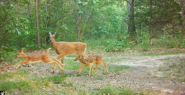 N4076 & N4084 10th Drive, Montello, WI 53949