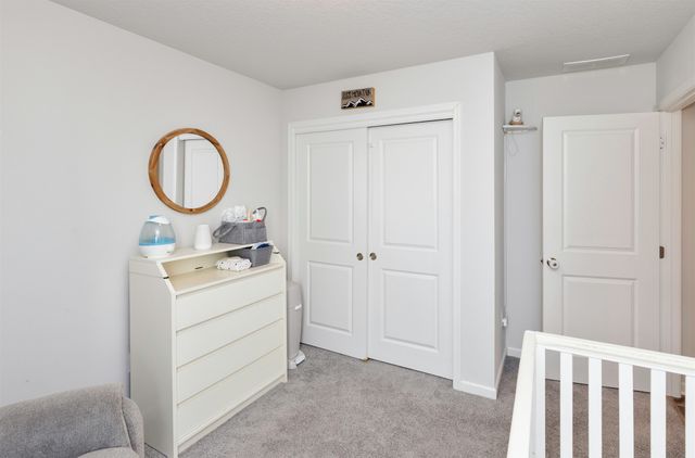 1345 Blazing Star Drive, Carlisle, IA 50047