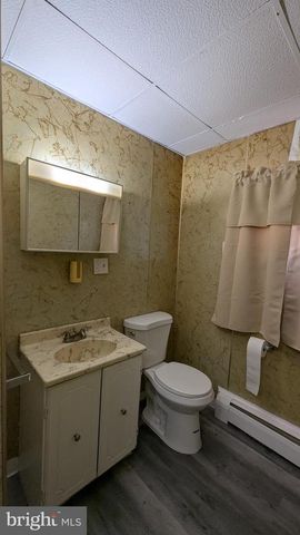 423 E DEWART ST, Shamokin, PA 17872