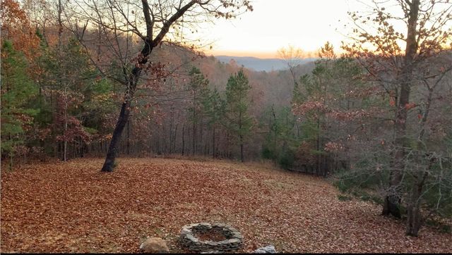 2205 MC 6035, Yellville, AR 72687