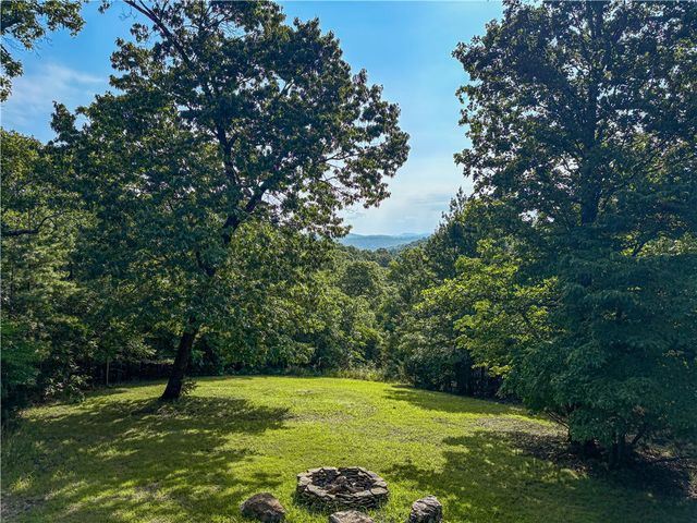 2205 MC 6035, Yellville, AR 72687