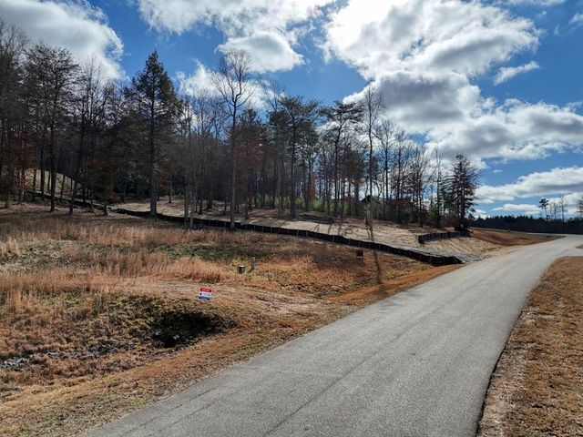 lot 37 New Water Way, Blairsville, GA 30512