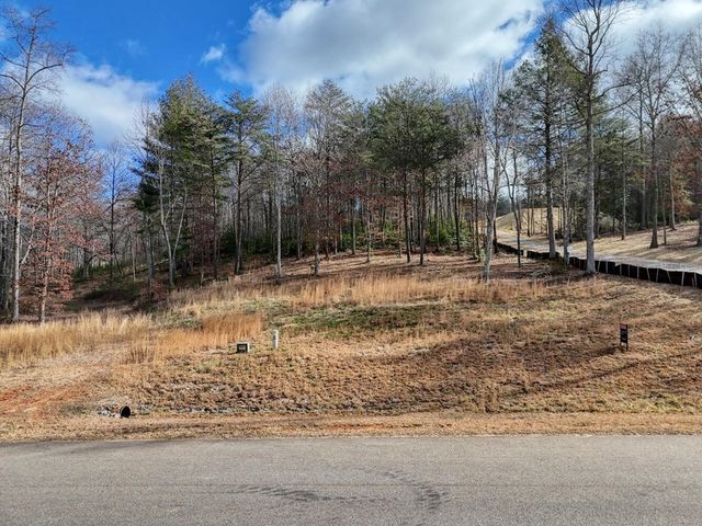 lot 37 New Water Way, Blairsville, GA 30512