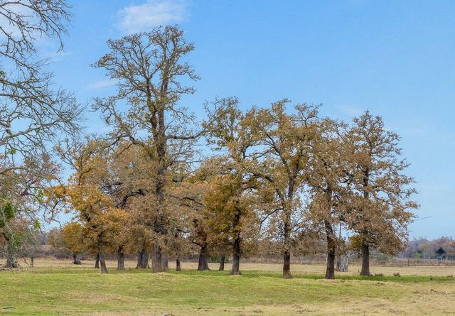 2150 CR 412, Lexington, TX 78947