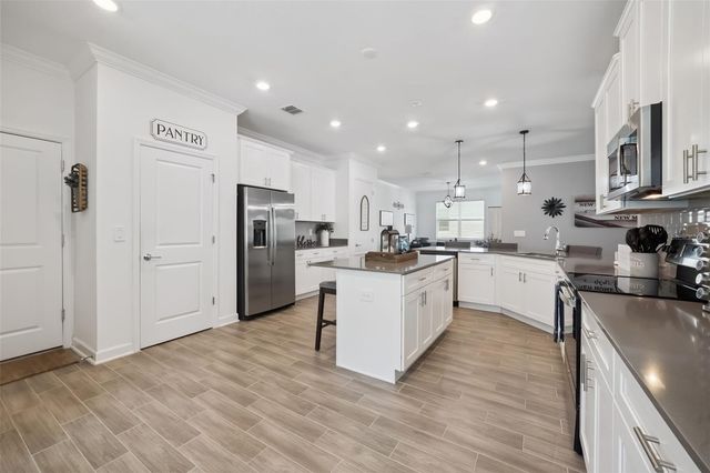 6997 PERCH HAMMOCK LOOP, Groveland, FL 34736