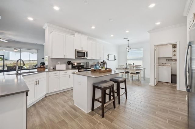 6997 PERCH HAMMOCK LOOP, Groveland, FL 34736