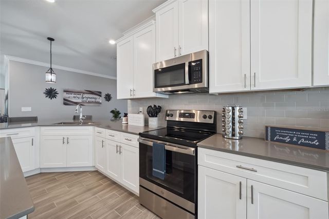 6997 PERCH HAMMOCK LOOP, Groveland, FL 34736