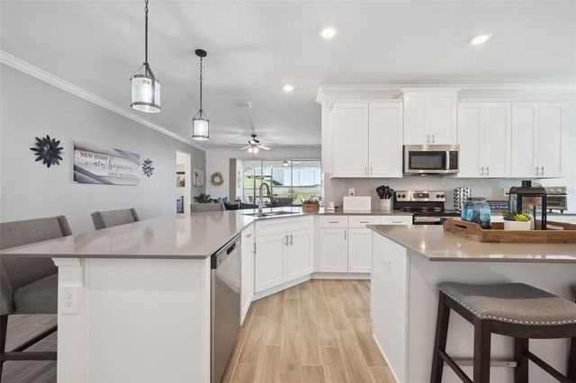 6997 PERCH HAMMOCK LOOP, Groveland, FL 34736