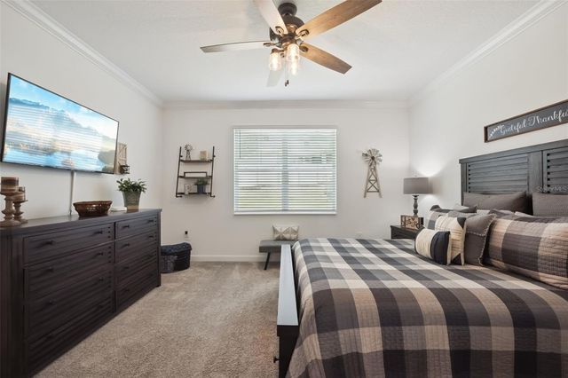 6997 PERCH HAMMOCK LOOP, Groveland, FL 34736