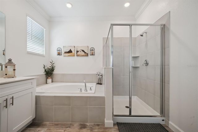 6997 PERCH HAMMOCK LOOP, Groveland, FL 34736