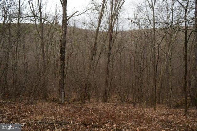 853 BEAR RIDGE RD, Orviston, PA 16864