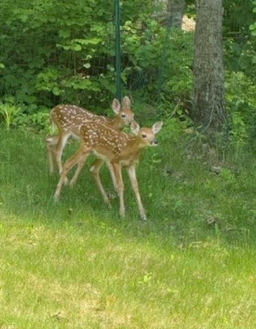 5 Deer Hill Rd, Oxford, MA 01537