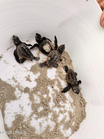 28 W Cedar Road, St. Helena Island, SC 29920