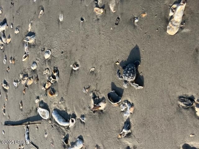 28 W Cedar Road, St. Helena Island, SC 29920