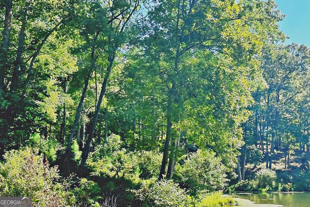 0 Pinnacle Drive, Ellijay, GA 30540