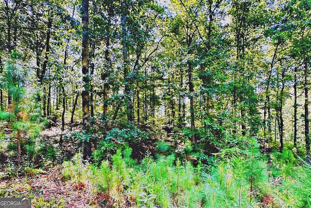 0 Pinnacle Drive, Ellijay, GA 30540