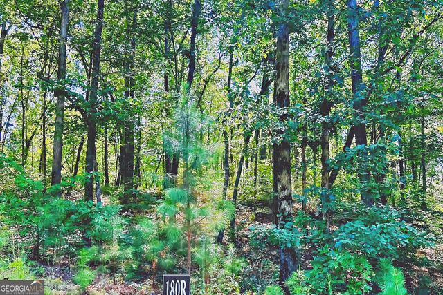 0 Pinnacle Drive, Ellijay, GA 30540