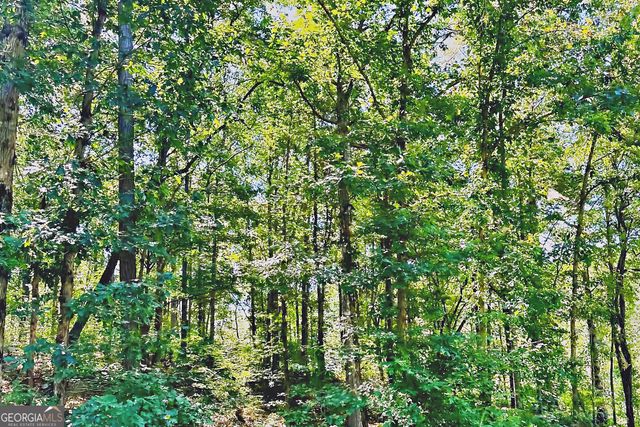 0 Pinnacle Drive, Ellijay, GA 30540