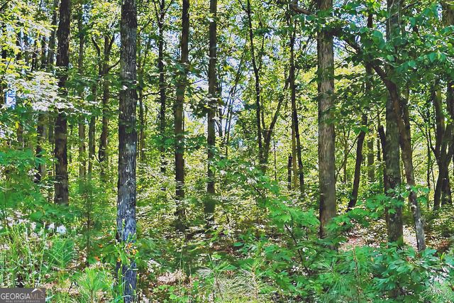 0 Pinnacle Drive, Ellijay, GA 30540