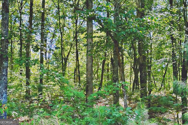 0 Pinnacle Drive, Ellijay, GA 30540