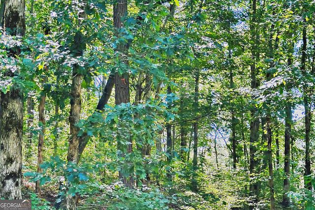 0 Pinnacle Drive, Ellijay, GA 30540