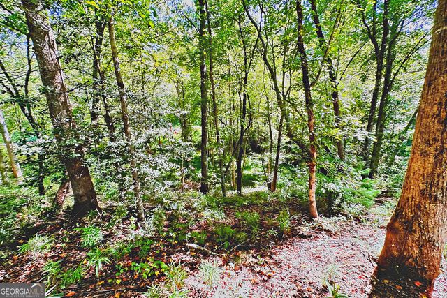 0 Pinnacle Drive, Ellijay, GA 30540