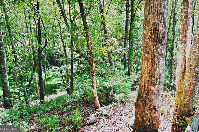 0 Pinnacle Drive, Ellijay, GA 30540