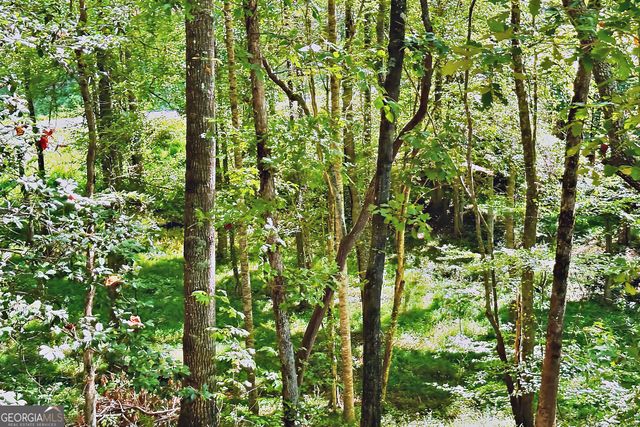 0 Pinnacle Drive, Ellijay, GA 30540