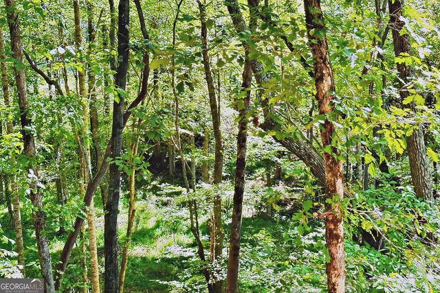 0 Pinnacle Drive, Ellijay, GA 30540