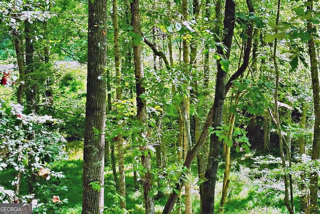 0 Pinnacle Drive, Ellijay, GA 30540