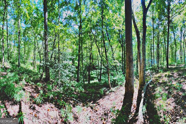 0 Pinnacle Drive, Ellijay, GA 30540