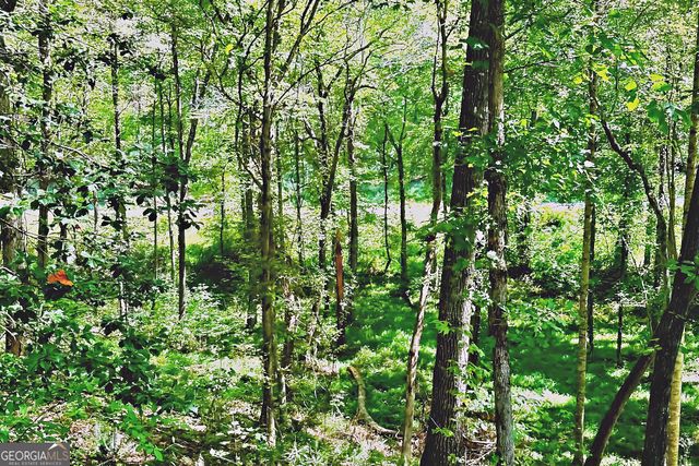 0 Pinnacle Drive, Ellijay, GA 30540