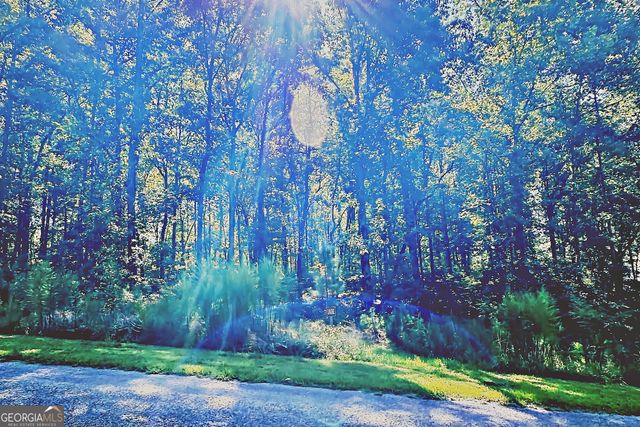 0 Pinnacle Drive, Ellijay, GA 30540