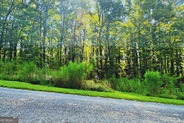 0 Pinnacle Drive, Ellijay, GA 30540