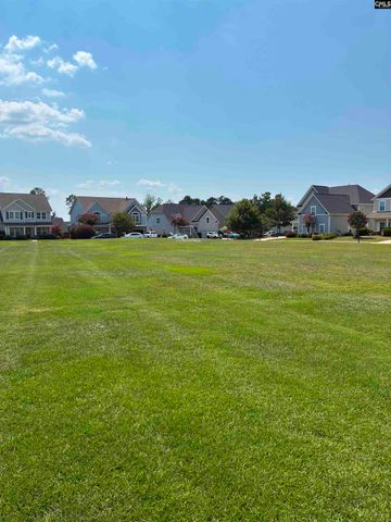 554 Hopscotch Lane, Lexington, SC 29072