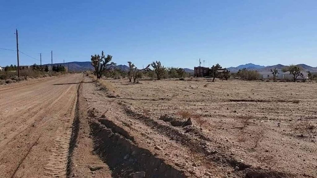 21284 N Ventura Drive, White Hills, AZ 86445