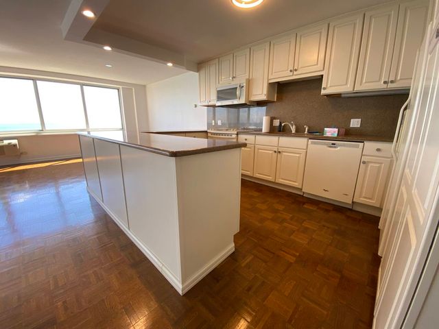 1440 N Lake Shore Drive 12H, Chicago, IL 60610