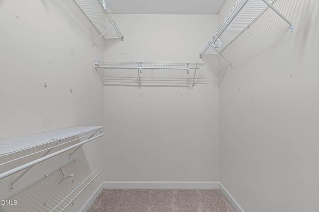 262 Bally Shannon Way, Apex, NC 27539