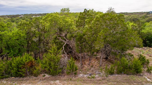 183 Palm, Spring Branch, TX 78070